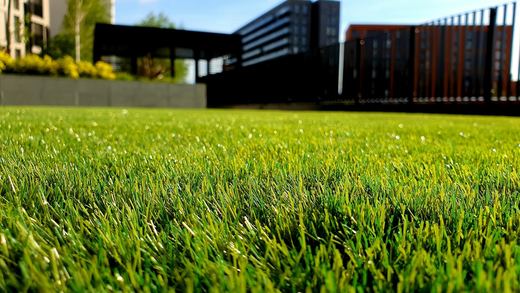 Lush green lawn with contemporary raised planting beds and dark architectural fencing